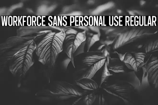 Workforce Sans PERSONAL USE Regular Font examples