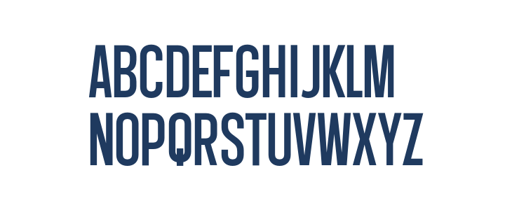 Workforce Sans PERSONAL USE Regular Lowercase