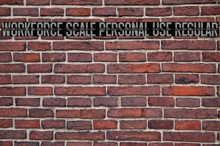 Workforce Scale PERSONAL USE Regular Example 1