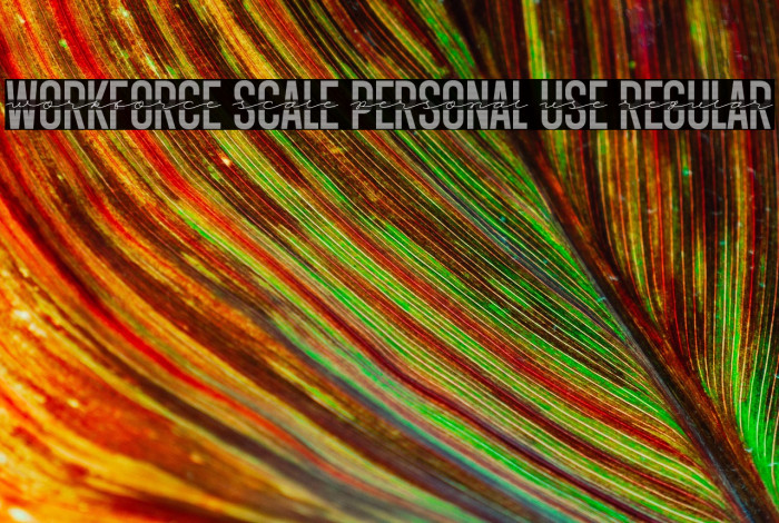 Workforce Scale PERSONAL USE Regular Example 2