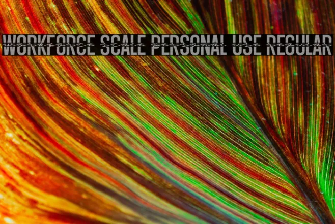 Workforce Scale PERSONAL USE Regular Example 2