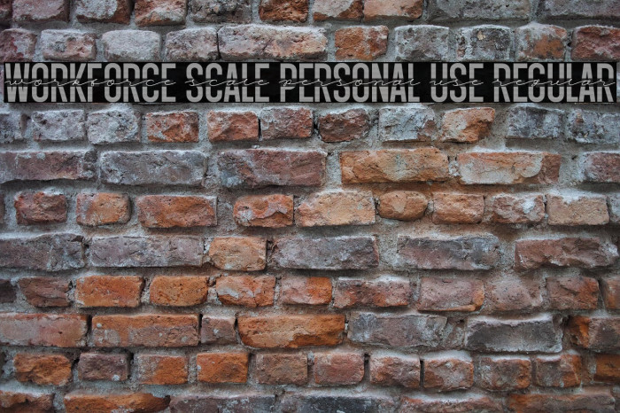 Workforce Scale PERSONAL USE Regular Example 3