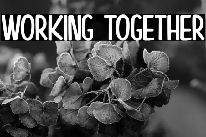 Working Together Font examples