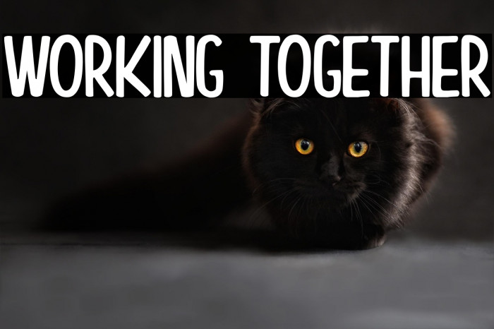 Working Together Example 2