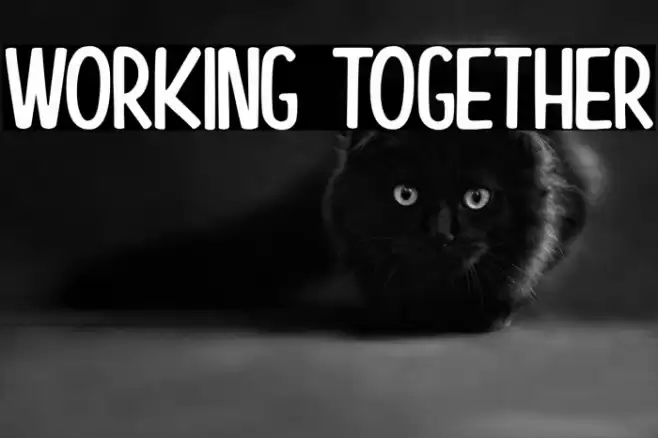 Working Together Font examples