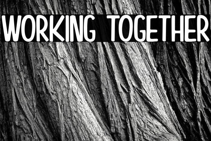 Working Together Example 3