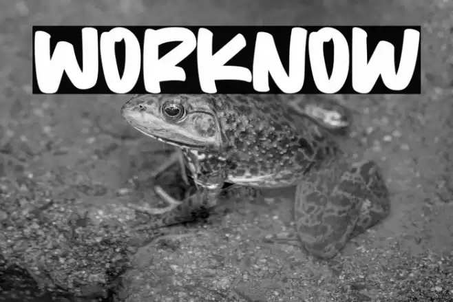 Worknow Font examples