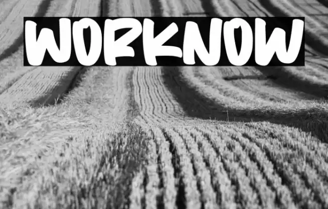Worknow Font examples
