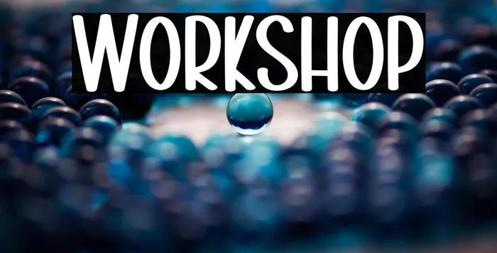 Workshop Example 3
