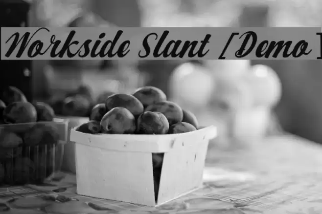 Workside Slant [Demo] Font examples