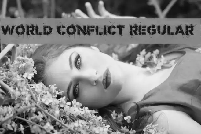 World Conflict Regular Font examples