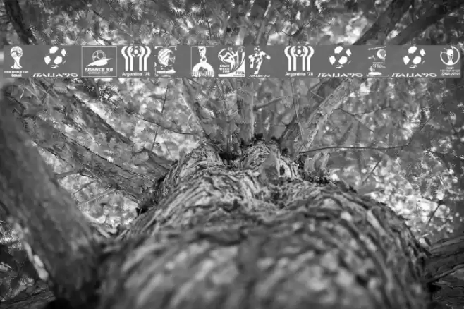 World Cup logos Font examples