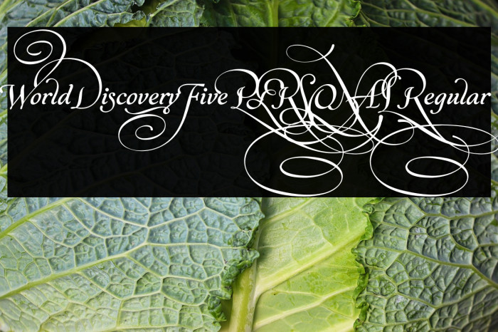 World Discovery Five PERSONAL Regular Example 1