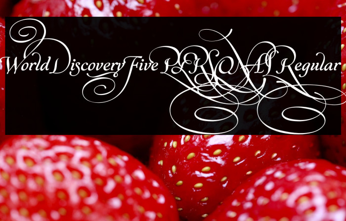 World Discovery Five PERSONAL Regular Example 3