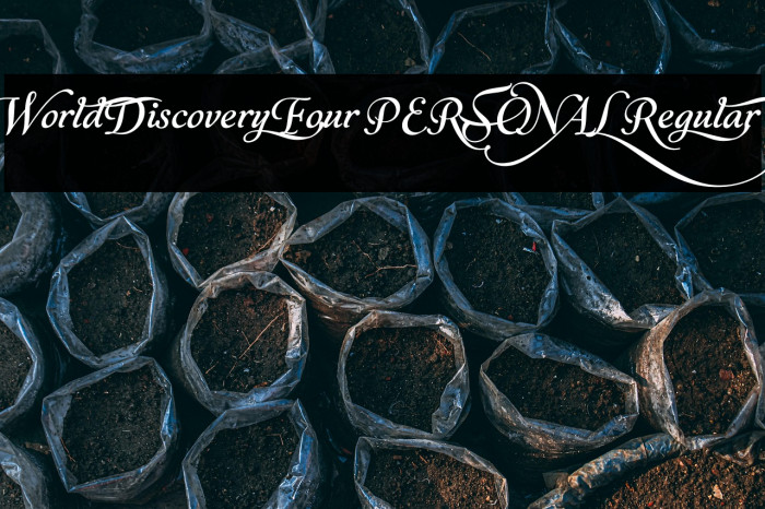 World Discovery Four PERSONAL Regular Example 1