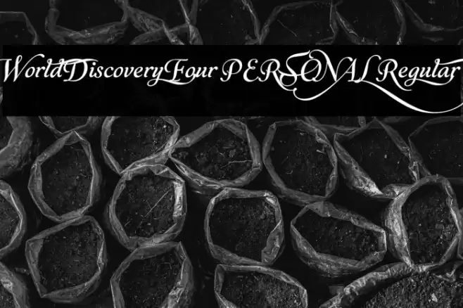 World Discovery Four PERSONAL Regular Font examples