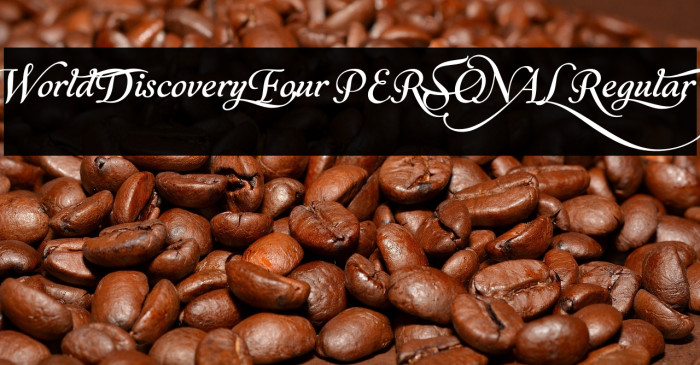 World Discovery Four PERSONAL Regular Example 2