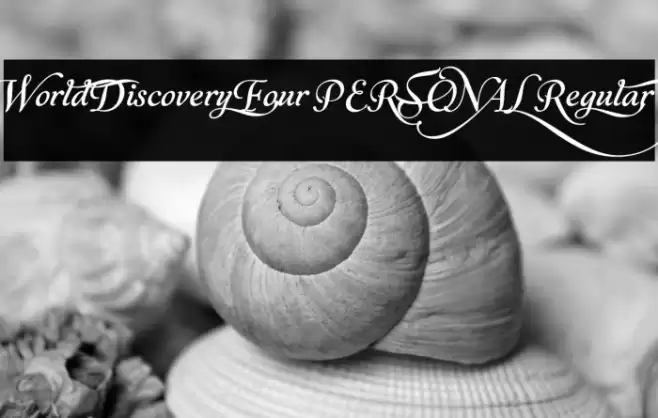 World Discovery Four PERSONAL Regular Font examples