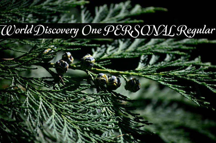 World Discovery One PERSONAL Regular Example 2