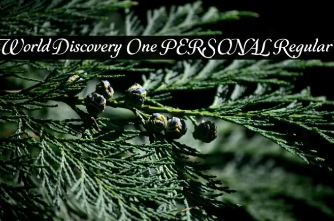 World Discovery One PERSONAL Regular Example 2