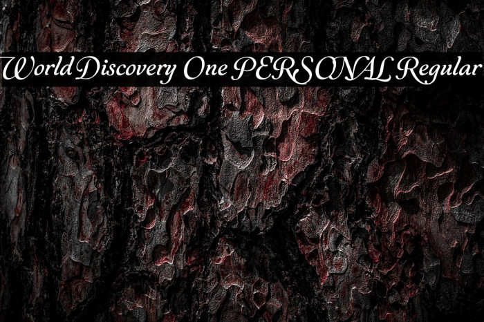 World Discovery One PERSONAL Regular Example 3