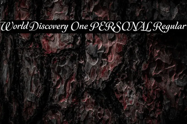 World Discovery One PERSONAL Regular Example 3