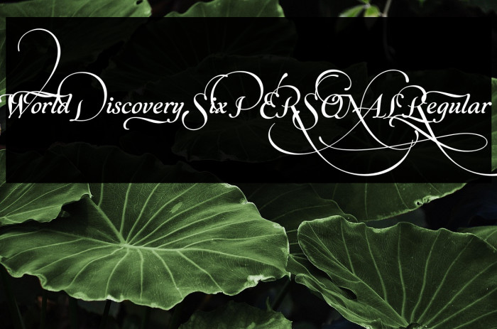 World Discovery Six PERSONAL Regular Example 2