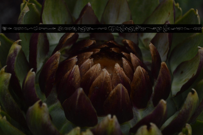 World Discovery Swash PERSONAL Regular Example 1