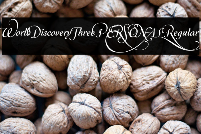 World Discovery Three PERSONAL Regular Example 1