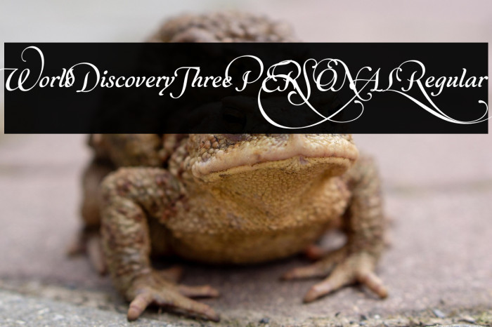 World Discovery Three PERSONAL Regular Example 2