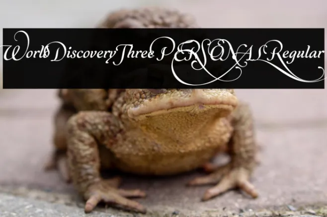 World Discovery Three PERSONAL Regular Example 2