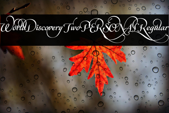 World Discovery Two PERSONAL Regular Example 2