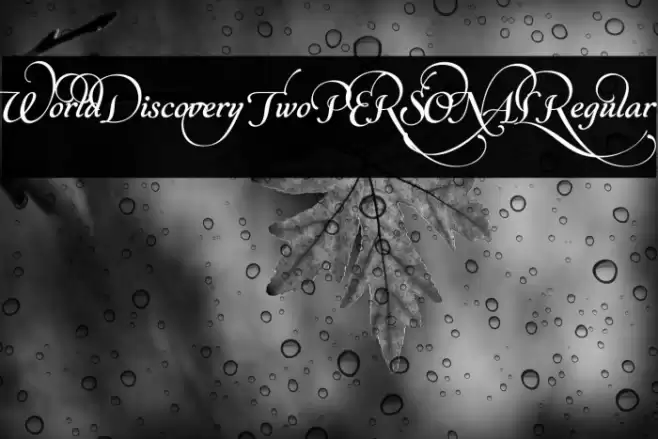 World Discovery Two PERSONAL Regular Font examples