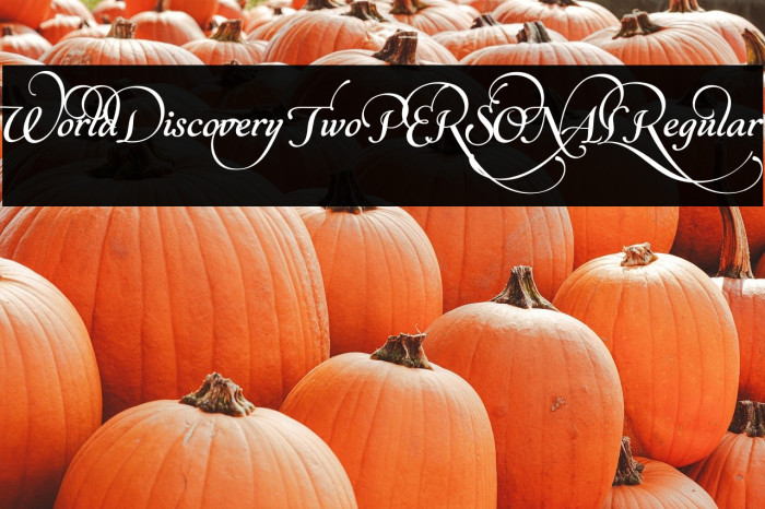 World Discovery Two PERSONAL Regular Example 3