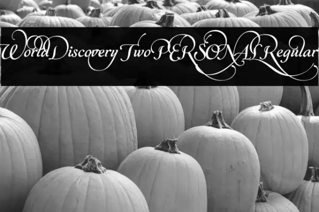 World Discovery Two PERSONAL Regular Font examples