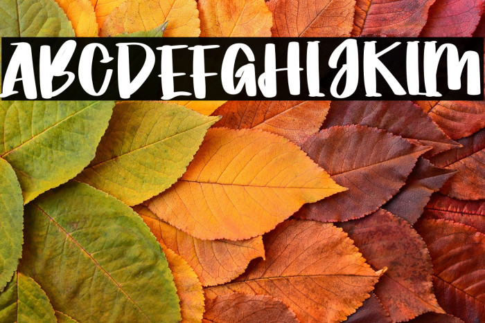 World Of Paradise Example 2