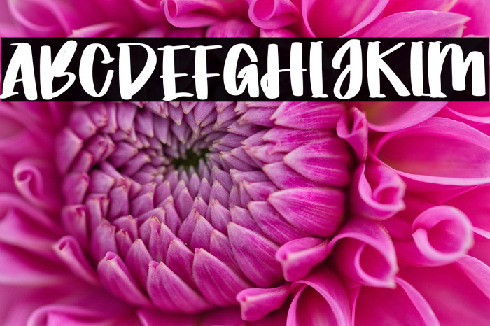 World Of Paradise Example 3