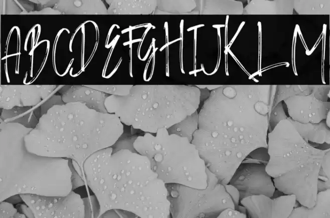 World Pressure Font examples