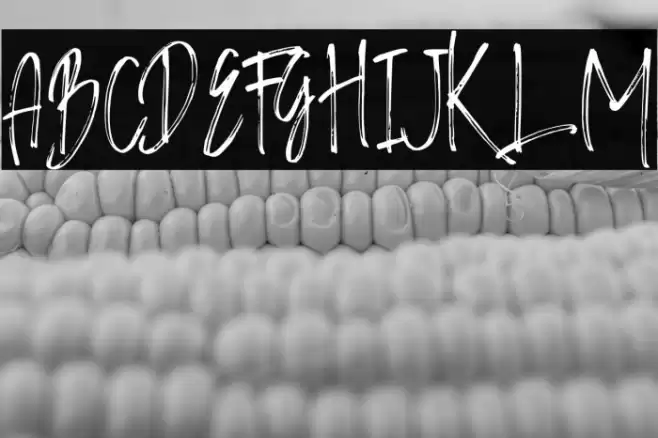 World Pressure Font examples