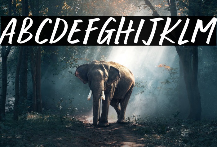 World Rhythm Example 2