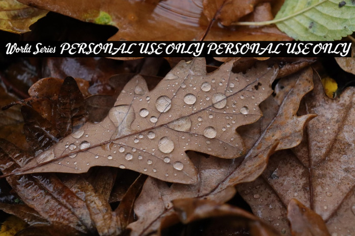 World Series PERSONAL USE ONLY PERSONAL USE ONLY Example 2