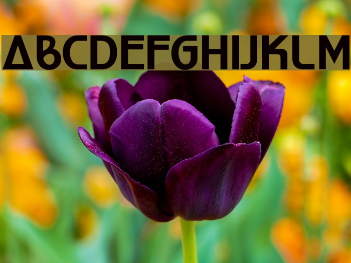 World of Water Font examples