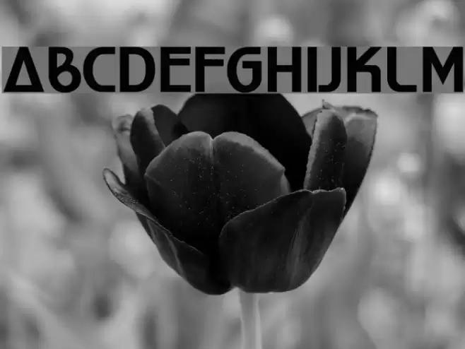 World of Water Font examples