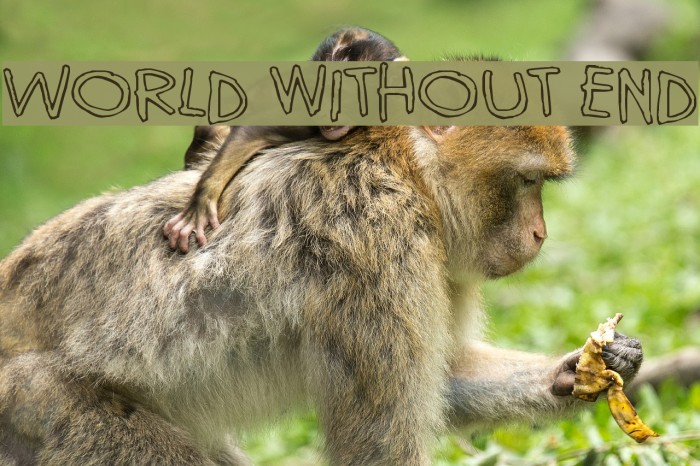 World without end フォント examples