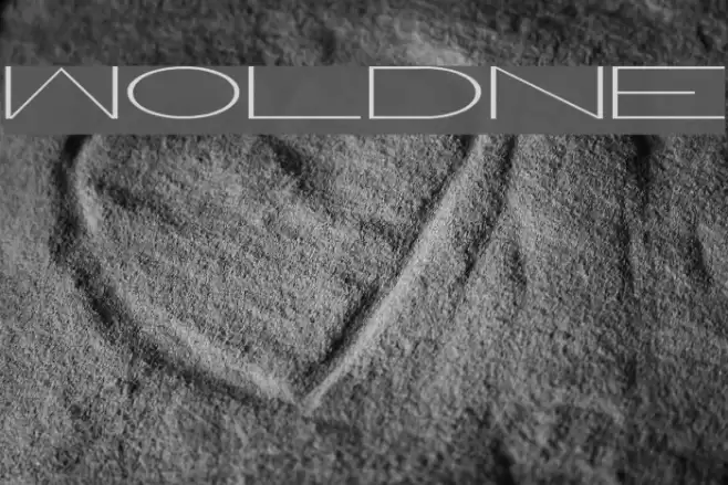 WorldNet Шрифта examples