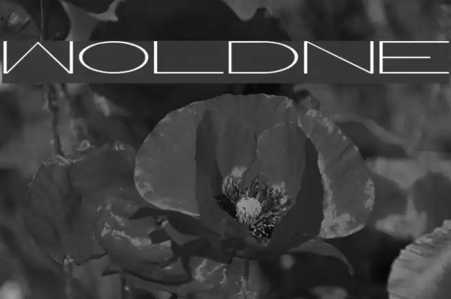 WorldNet Шрифта examples