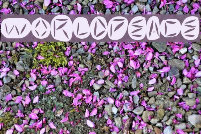 WorldPeace Example 2