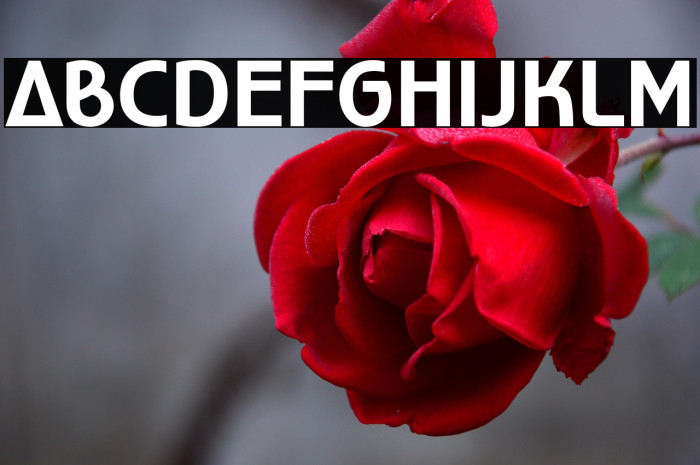 WorldofWater-Regular Example 1