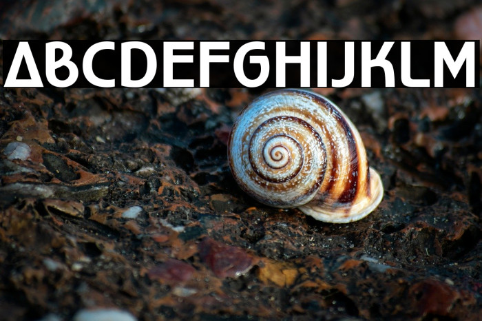 WorldofWater-Regular Example 2