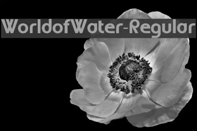 WorldofWater-Regular Font examples